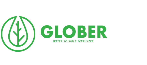 GLOBER  BTK BESLEME SERS