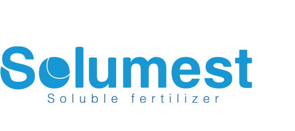 SOLUMEST DAMLA SULAMA GBRE SERS